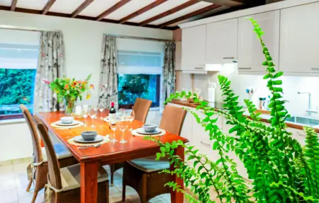 't Zaveltje : maison avec kayak au bord d'un étang : photo 11