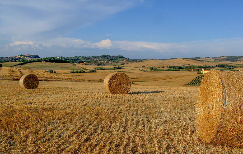 Maison jumelée 4 chambres à Volterra, jardin et vue panoramique - Photo 16