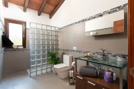Villa Bellpuig à Artà : piscine, jacuzzi et pierre : photo 36