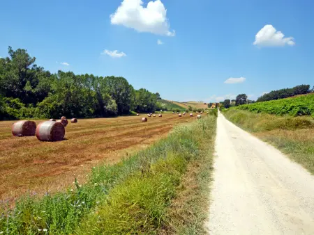 Gîte Il Sorriso – ancienne ferme toscane près de Certaldo : photo 26