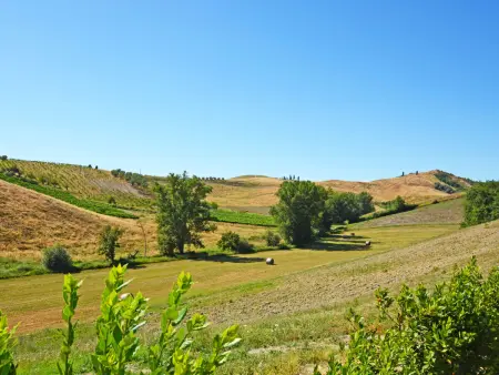 Gîte Il Sorriso – ancienne ferme toscane près de Certaldo : photo 28