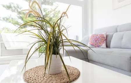 Maison 4 personnes à Benalmádena - Photo 14