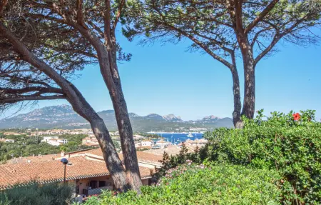 Maison 3 chambres vue mer à Porto Rotondo : photo 2