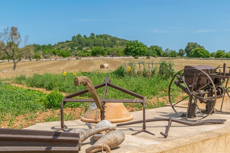 Villa 3 C'an Boto, piscine et jardin à Manacor - Photo 43