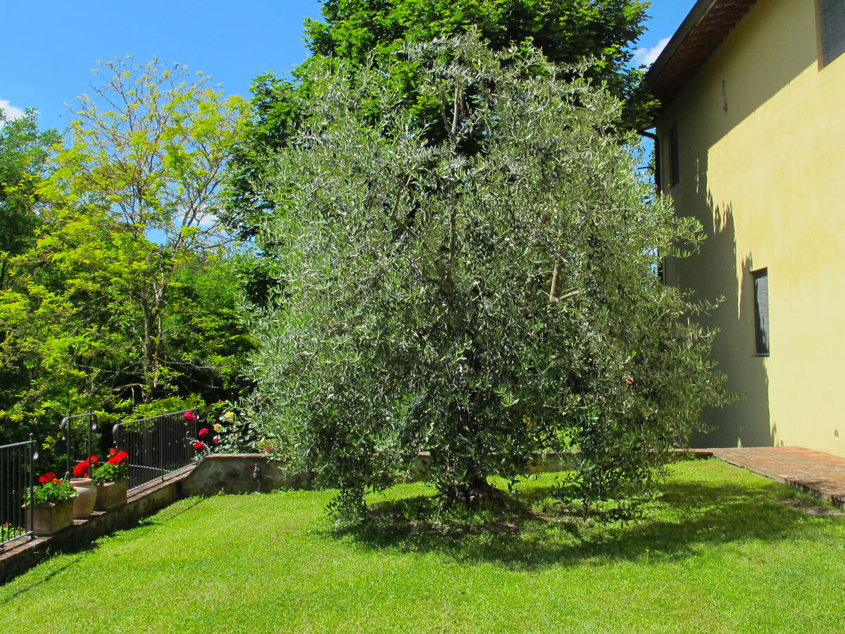 Gîte Corbezzolo – maison de maître près du Chianti - Photo 29