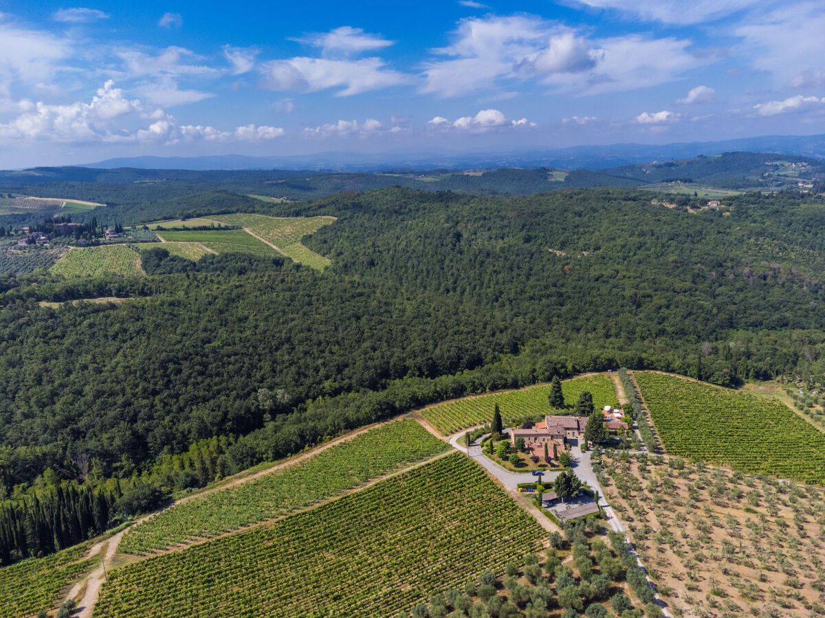 Michelangelo, gîte 2 pers. vue Chianti à San Donato - Photo 25