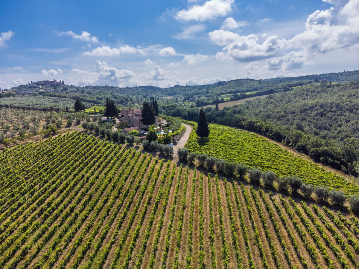 Michelangelo, gîte 2 pers. vue Chianti à San Donato - Photo 30