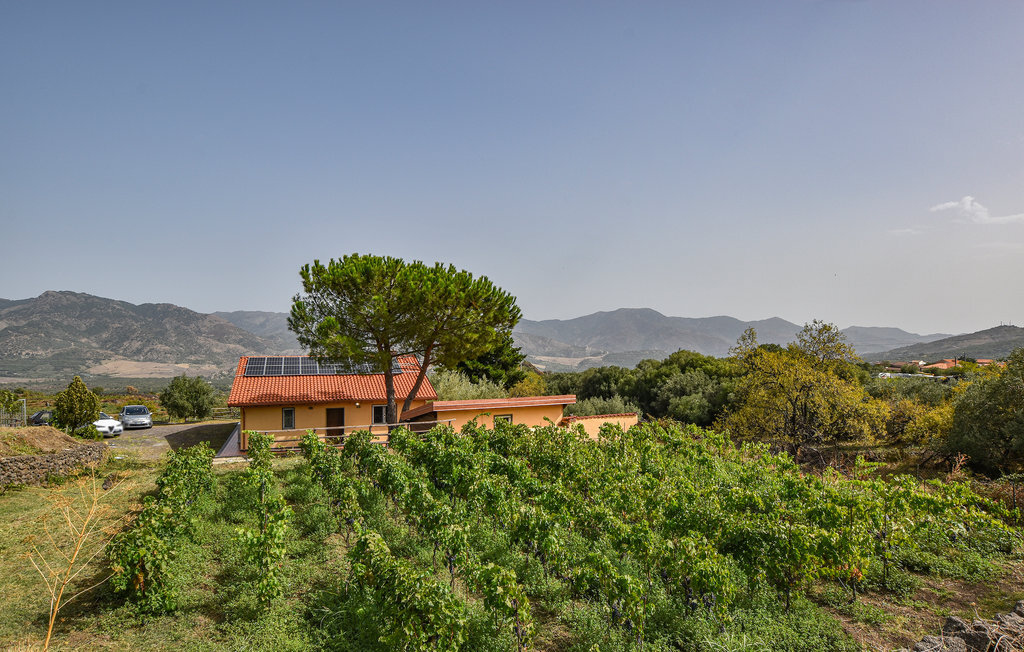 Maison sur l'Etna avec piscine et vignobles à Castiglione - Photo 7