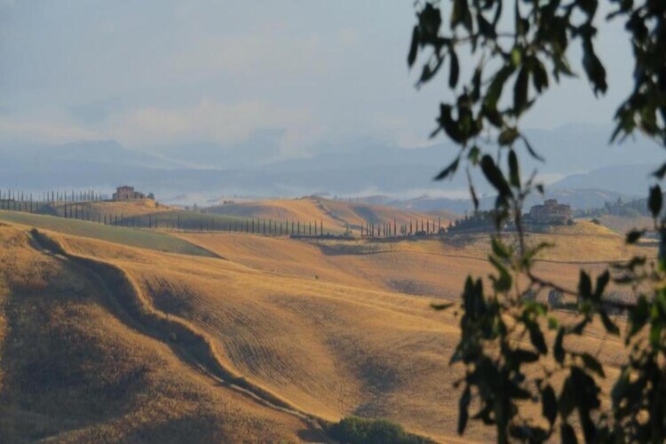 Il Bosco, ferme toscane avec piscine près du lac - Photo 16