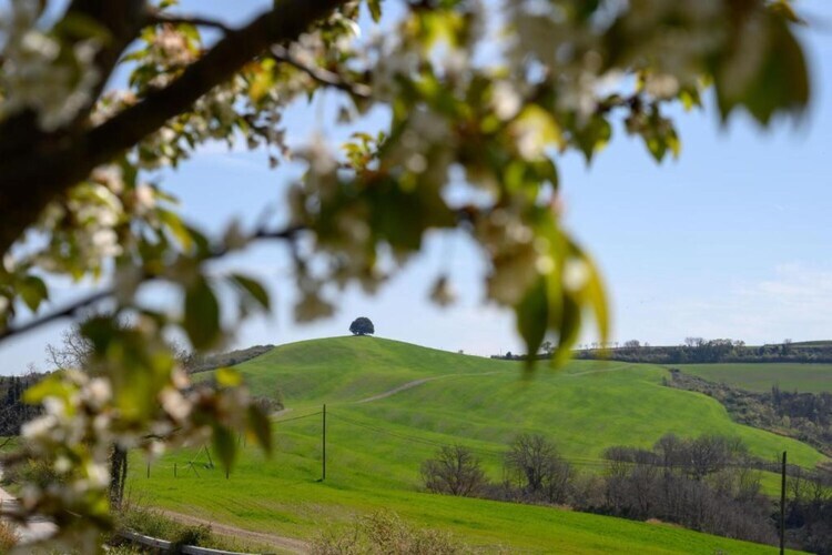 Il Bosco, ferme toscane avec piscine près du lac - Photo 18