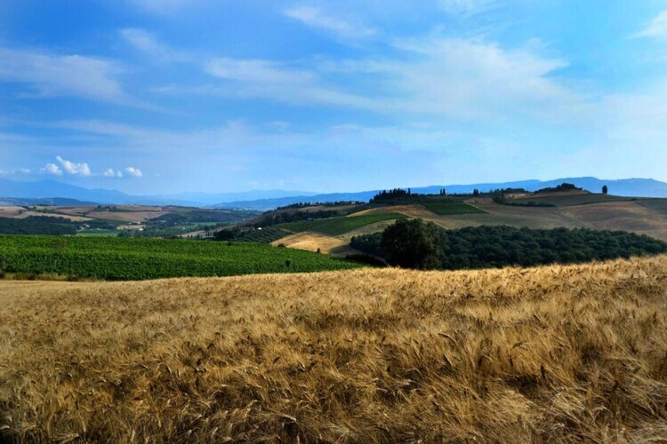 Il Bosco, ferme toscane avec piscine près du lac - Photo 20