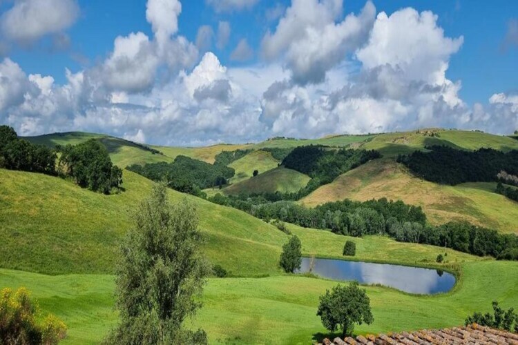 Il Bosco, ferme toscane avec piscine près du lac - Photo 22