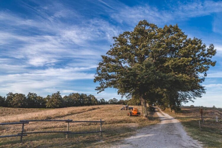 Il Bosco, ferme toscane avec piscine près du lac - Photo 25