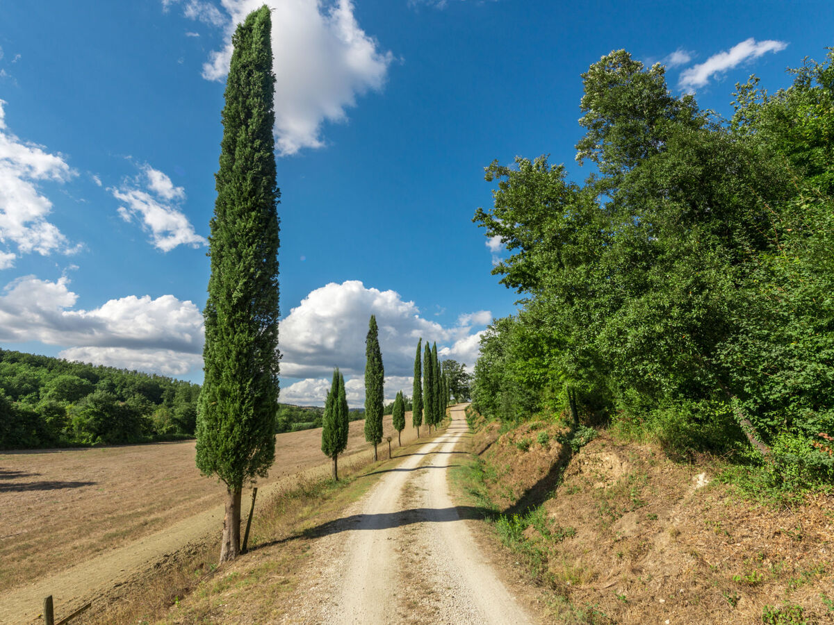 Casale Poggio Lupinaio – Gîte 10 pers. avec piscine - Photo 36