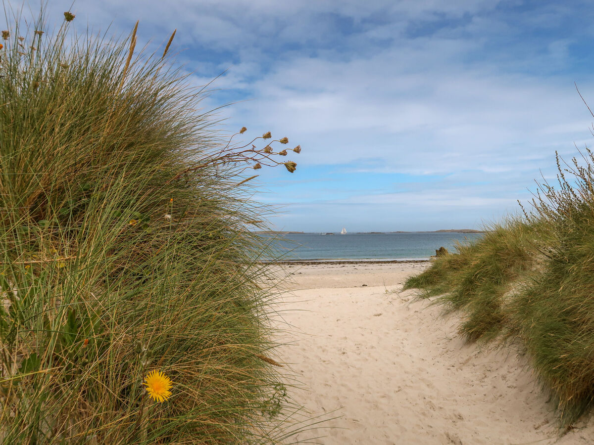 Les Dunes, maison 4 pers. à 400 m de la plage - Photo 32