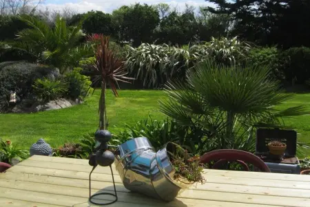 Maison avec jardin de palmiers près de la plage à Pleubian : photo 6