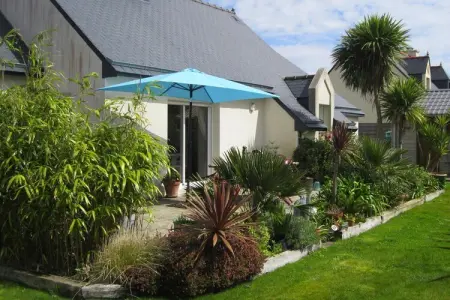 Maison avec jardin de palmiers près de la plage à Pleubian : photo 7