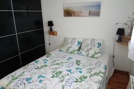 Maison avec jardin de palmiers près de la plage à Pleubian : photo 17
