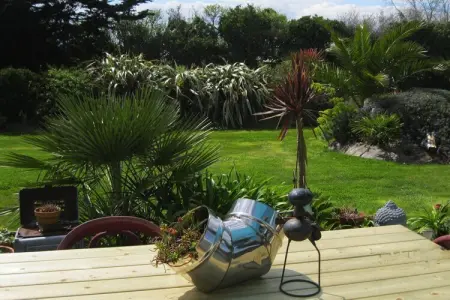 Maison avec jardin de palmiers près de la plage à Pleubian : photo 22
