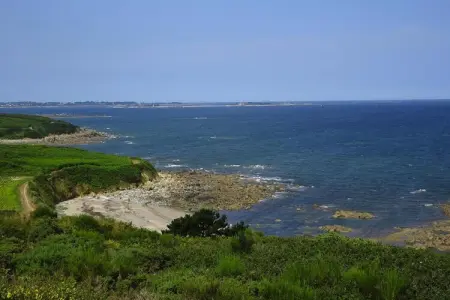 Maison avec jardin de palmiers près de la plage à Pleubian : photo 26