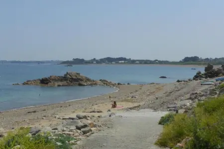 Maison avec jardin de palmiers près de la plage à Pleubian : photo 28