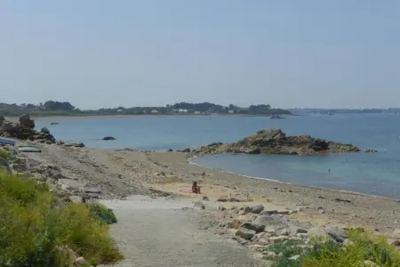 Maison avec jardin de palmiers près de la plage à Pleubian : photo 33