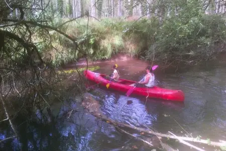 Maison 4 pers. avec canoë privé et nature à Langoat : photo 3