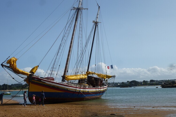 Maison 3 chambres à 200m de la plage à Port-Blanc - Photo 16