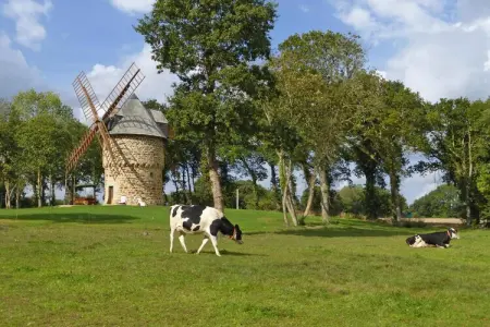 Ancient windmill Gommenec'h – Moulin 4 étages : photo 2
