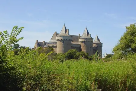 holiday home St Gildas-de-Rhuys, Maison sur Rhuys près de plage - Photo 26