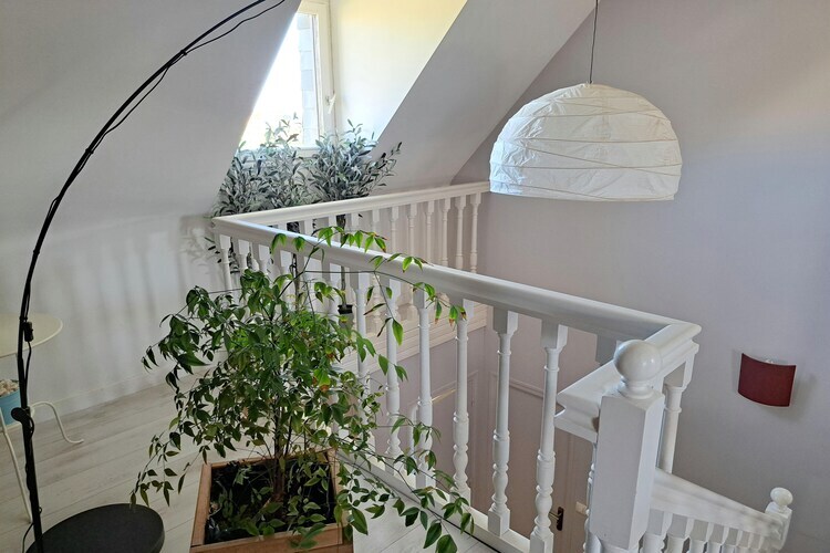 Maison Guissény, terrasse et jardin face à la Ria - Photo 12