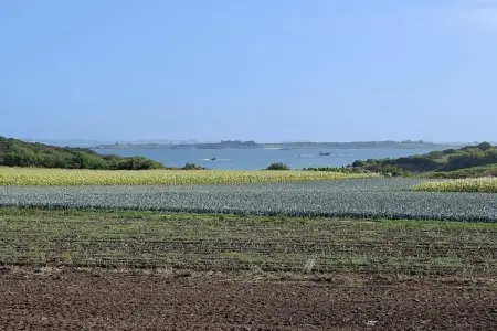 Ferienhaus mit teils Meerblick Cléder, Maison en pierre à Cleder près de Les Amiets - Photo 18