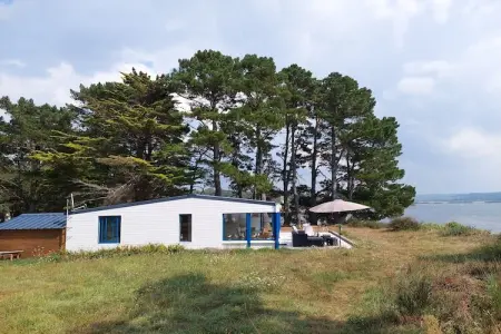Maison face à la mer, 6500 m² de pins à Hanvec : photo 7
