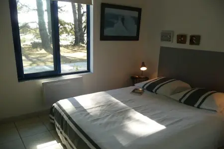 Maison face à la mer, 6500 m² de pins à Hanvec : photo 20