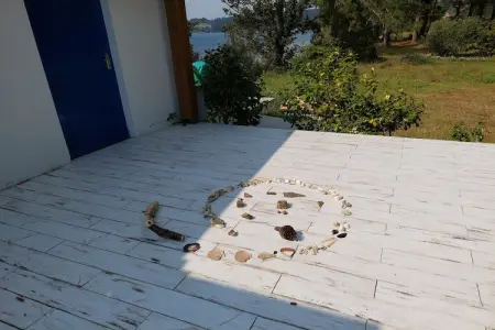 Maison face à la mer, 6500 m² de pins à Hanvec : photo 22