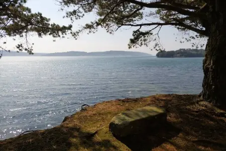 Maison face à la mer, 6500 m² de pins à Hanvec : photo 23
