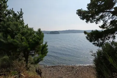 Maison face à la mer, 6500 m² de pins à Hanvec : photo 25