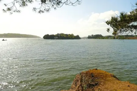 Maison face à la mer, 6500 m² de pins à Hanvec : photo 27
