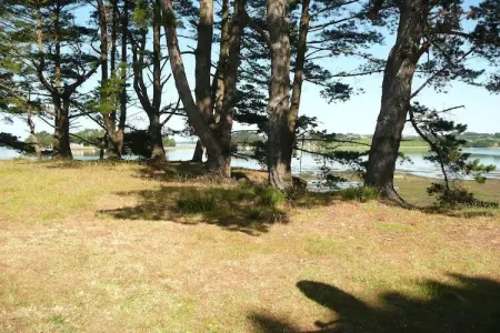 Maison face à la mer, 6500 m² de pins à Hanvec : photo 29