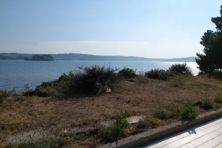 Maison face à la mer, 6500 m² de pins à Hanvec : photo 30