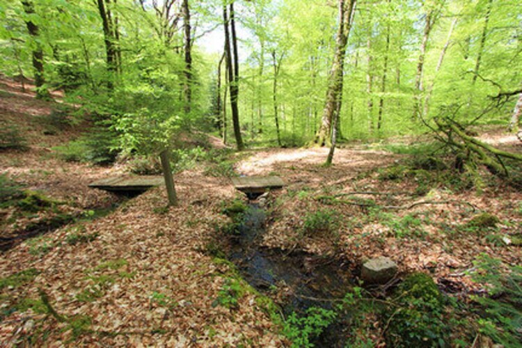 Maison 4 chambres au bord de la rivière à Reipertswiller - Photo 21