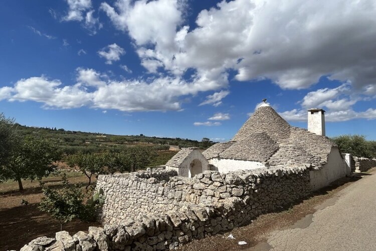 Masseria Fonte Vecchia, maison 8 pers. à Ostuni - Photo 29