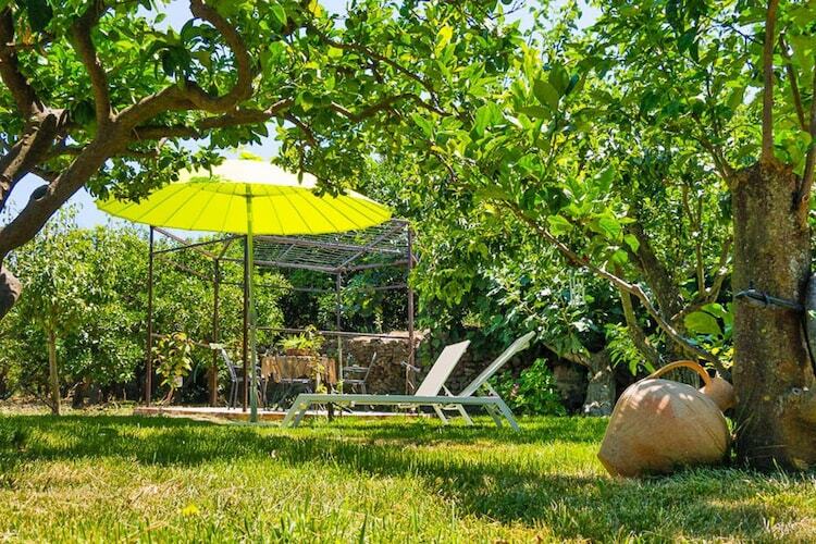 Regina Pacis : maison rustique piscine Castiglione - Photo 13