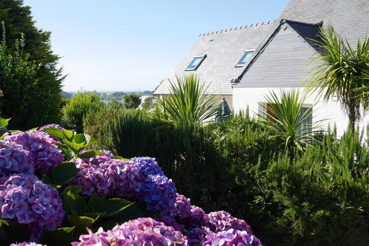 Maison vue mer Landéda, 6 personnes, plage à 300 m - Photo 25