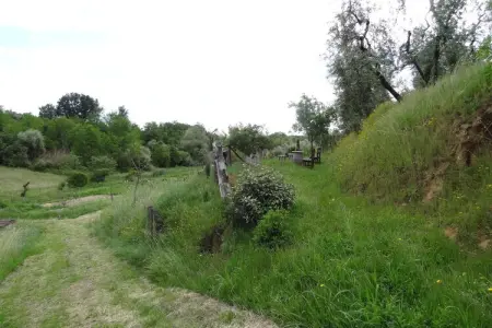Maison XVIIe siècle rénovée avec piscine à Lamporecchio : photo 26