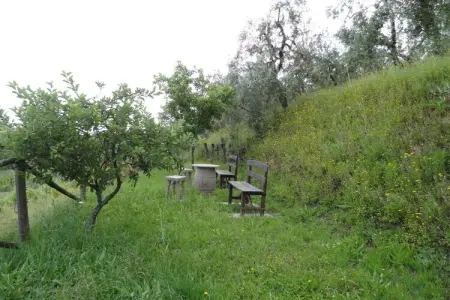 Maison XVIIe siècle rénovée avec piscine à Lamporecchio : photo 29