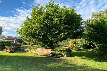 Maison 1 chambre avec terrasse à Néville-sur-Mer : photo 12