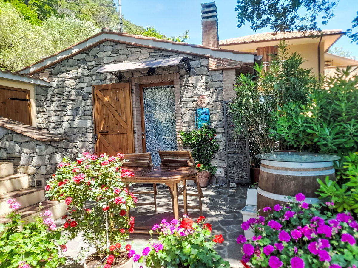 Maison moderne rénovée avec jardin à Castellina Marittima - Photo 1