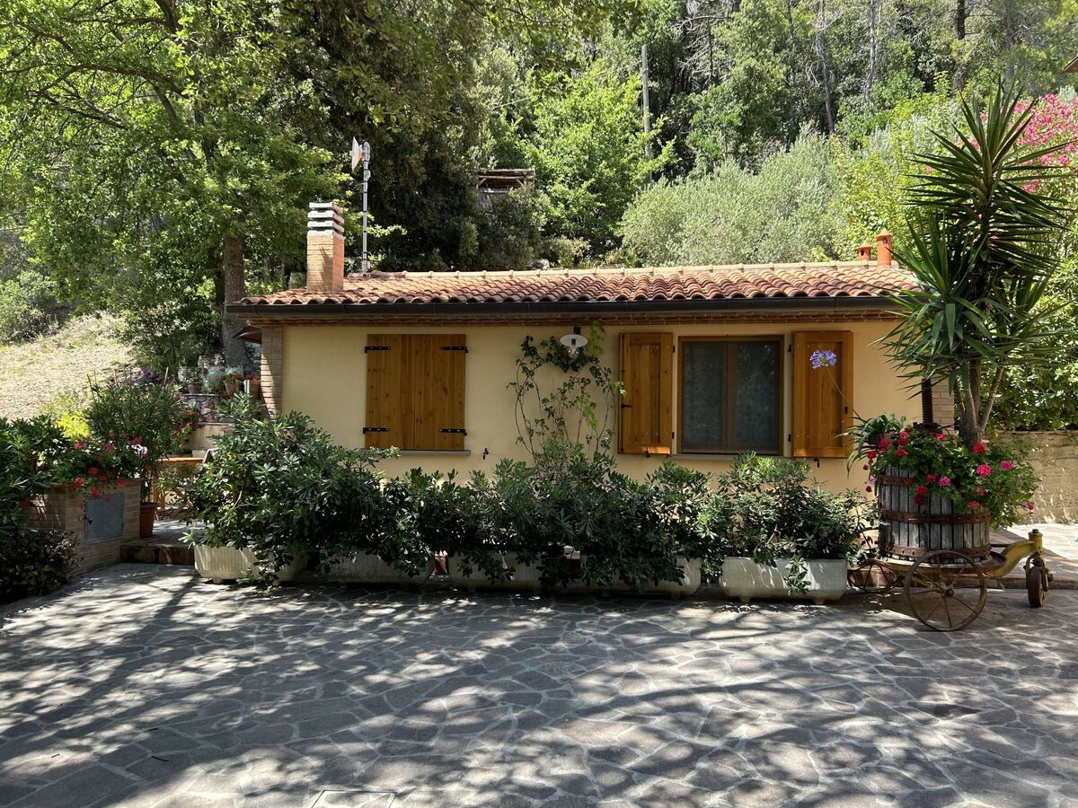 Maison moderne rénovée avec jardin à Castellina Marittima - Photo 3