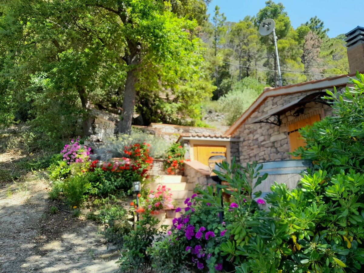 Maison moderne rénovée avec jardin à Castellina Marittima - Photo 4